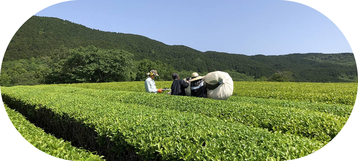 大仁瑞泉郷の写真