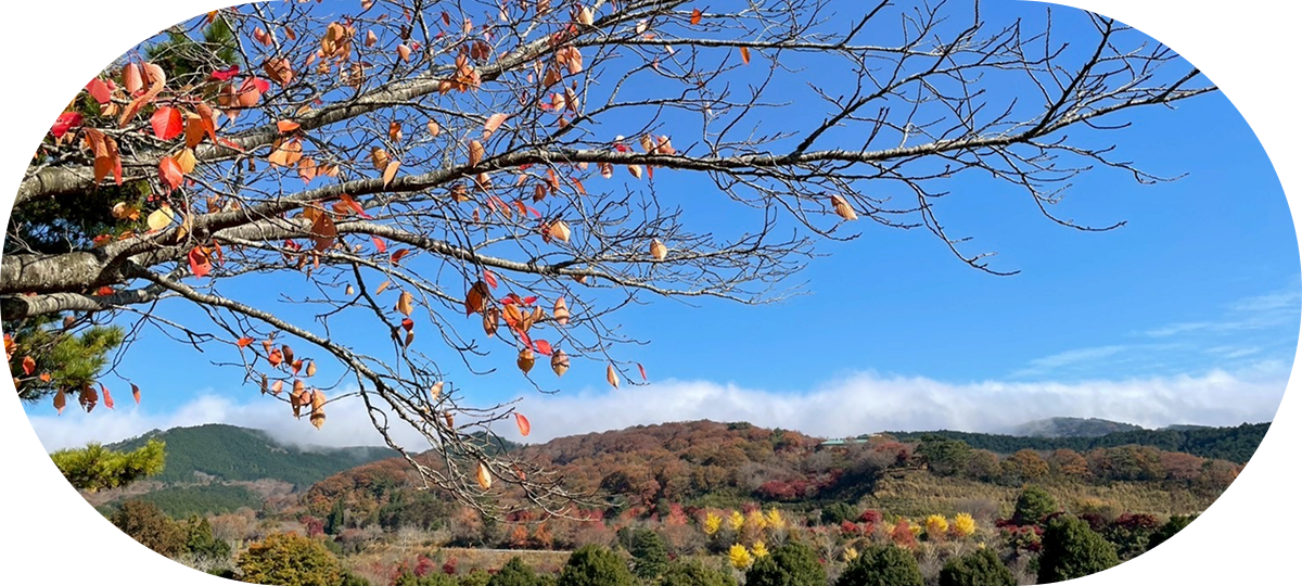 大仁瑞泉郷の写真